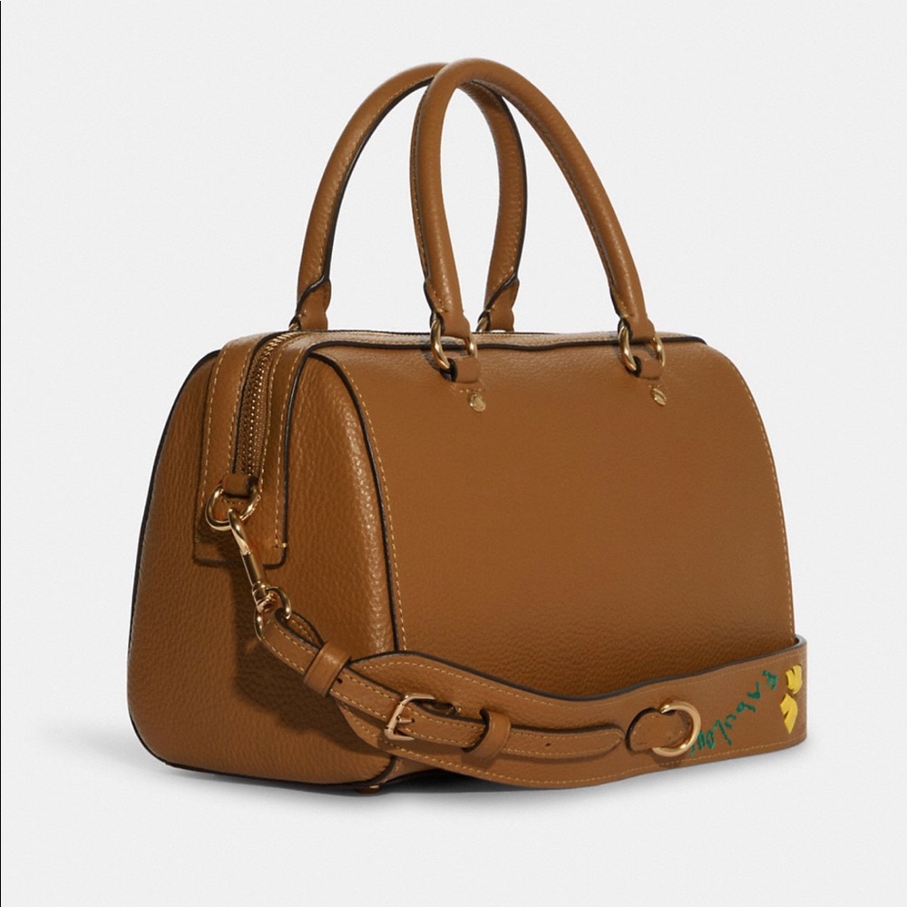 Coach Satchel with Diary Embroidery - Picture 3 of 5